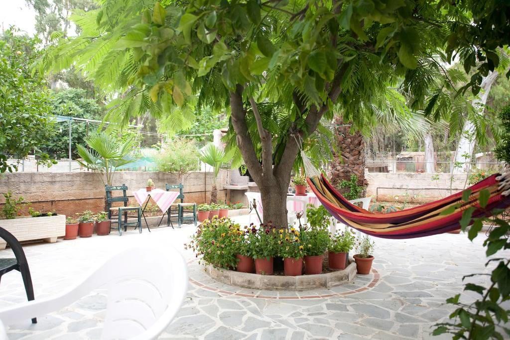 Veggie Garden Athens B&B 외부 사진