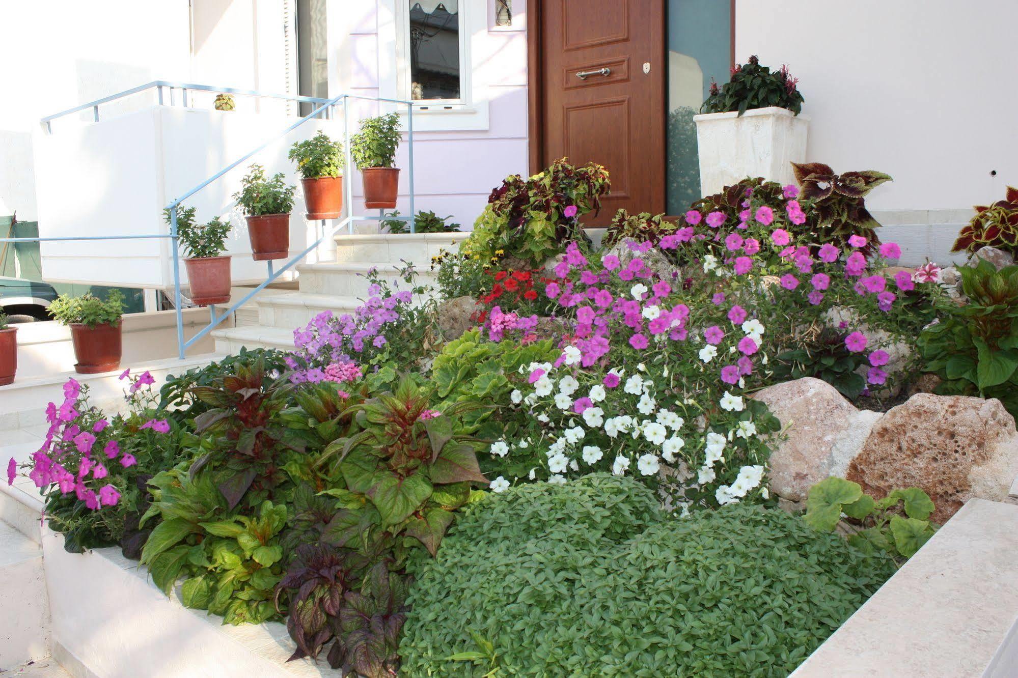 Veggie Garden Athens B&B 외부 사진
