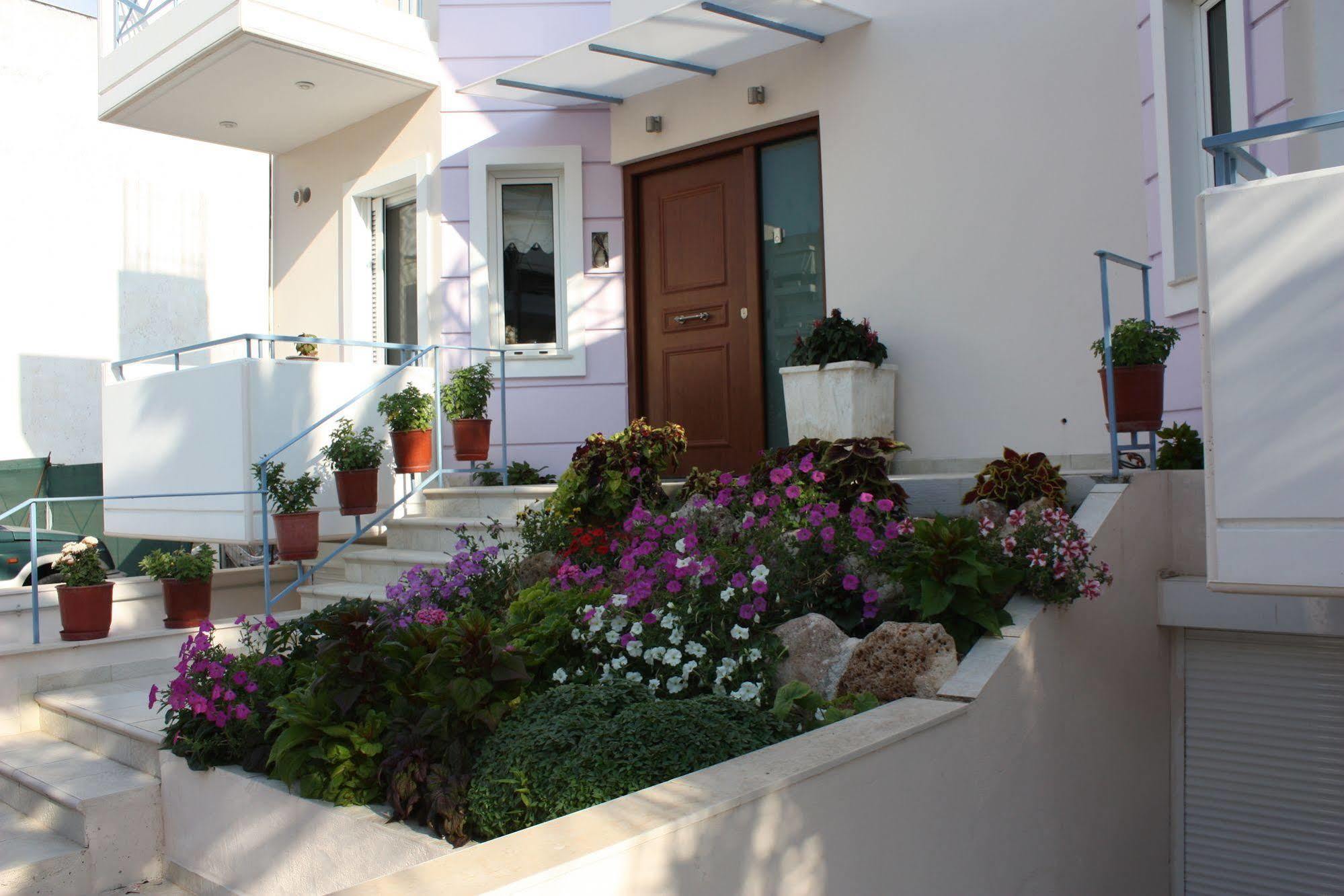 Veggie Garden Athens B&B 외부 사진