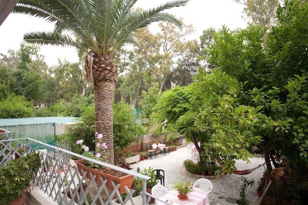 Veggie Garden Athens B&B 외부 사진